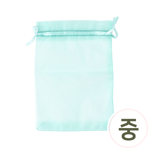 망사주머니 중 민트 11x16cm 5개입