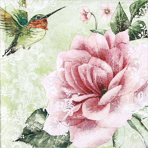 냅킨아트 340166 Hummingbird oliv 냅킨20매 33x33cm 0481