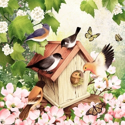 냅킨아트 2118270	 Bird House 냅킨20매 33x33cm 2046