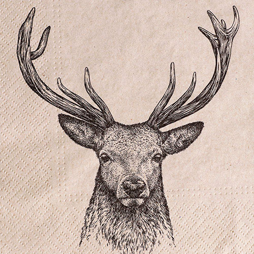 냅킨아트 SDL016100 We care Deer 냅킨20매 33x33cm 2089