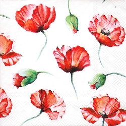 냅킨아트 111548 Poppy Drawing 냅킨20매 25x25cm 2147