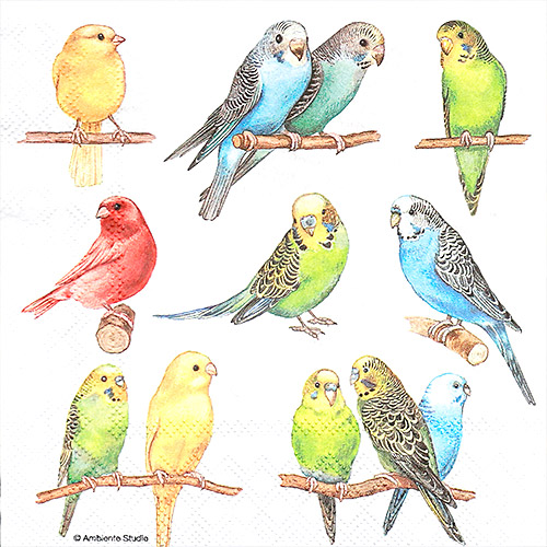 냅킨아트 13308500 Birdies 냅킨20매 33x33cm 2211