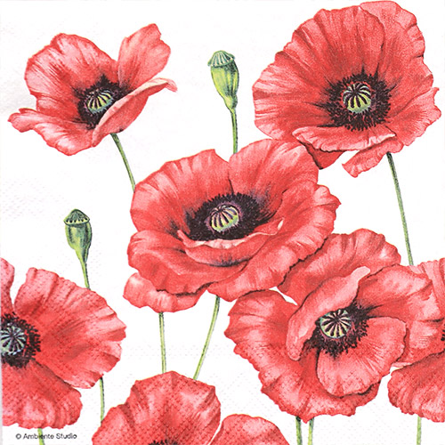 냅킨아트 13308505 Romantic Poppy 냅킨20매 33x33cm 2256