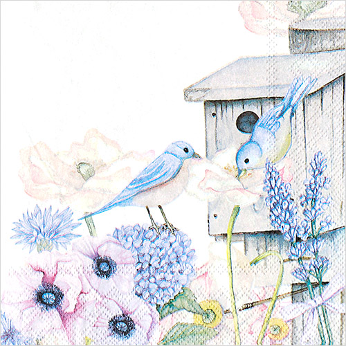 냅킨아트 13311220 Birdhouse Backyard 냅킨20매 33x33cm 2273