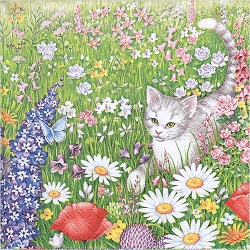 냅킨아트 13308695 Summer Meadow 냅킨20매 33x33cm 2300