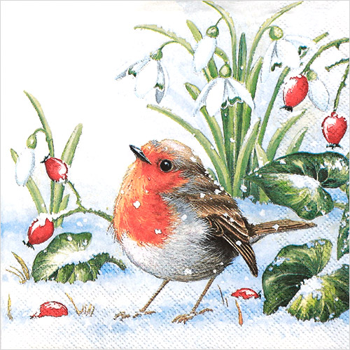 냅킨아트 33304560 Robin 냅킨20매 33x33cm 2370