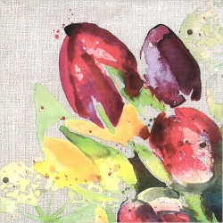 냅킨아트 1333249 Pretty Tulips 냅킨20매 33x33cm 2449