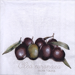 냅킨아트 L733100 OLEA EUROPAEA 냅킨20매 33x33cm 2703