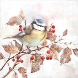 냅킨아트 L746800 SWEET LITTLE BIRD 냅킨20매 33x33cm 2808