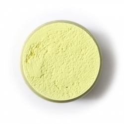 Sculpture Painting Plaster 06 Lemon 200g 500g