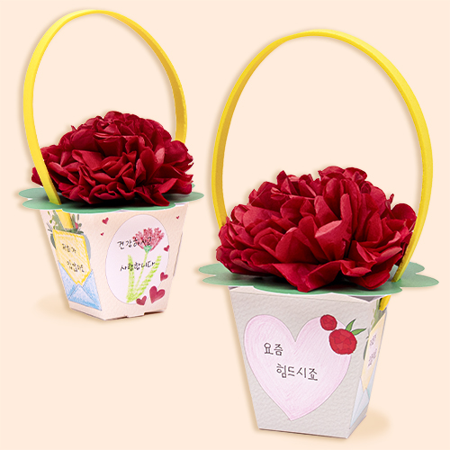(MS) 카네이션 싱글컵