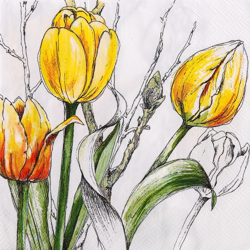 냅킨아트 L843770 COLOURFULTULIPS 냅킨20매 33x33cm