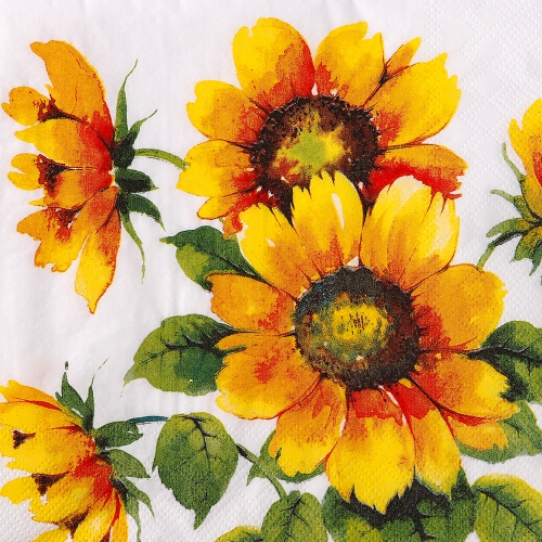 냅킨아트 L863100 COLOURFULSUNFLOWERS 냅킨20매 33x33cm