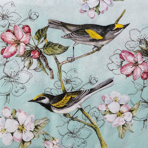 냅킨아트 L904420 BIRDS SYMPHONY 냅킨20매 33x33cm