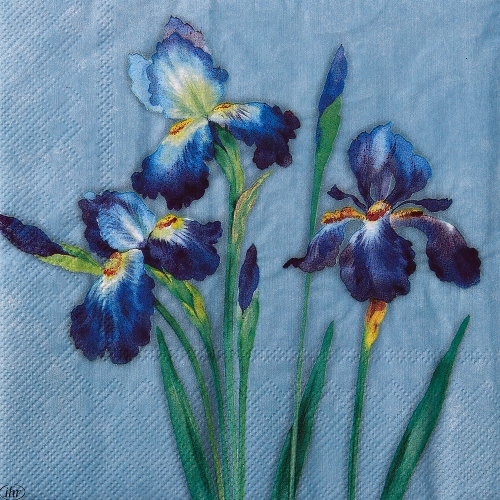 냅킨아트 L962440 INSA blue 냅킨20매 33x33cm