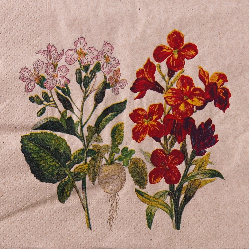 냅킨아트 192791 Botanical 냅킨20매 33x33cm