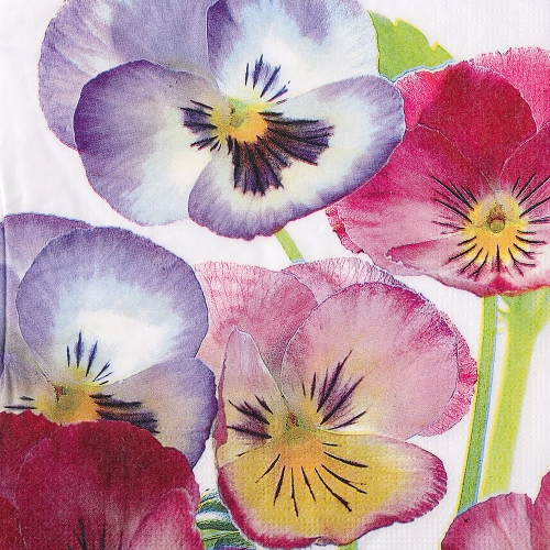 냅킨아트 1333771 Pansies 냅킨20매 33x33cm