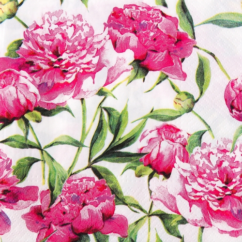 냅킨아트 TL572000 Pink Peonies 냅킨20매 33x33cm