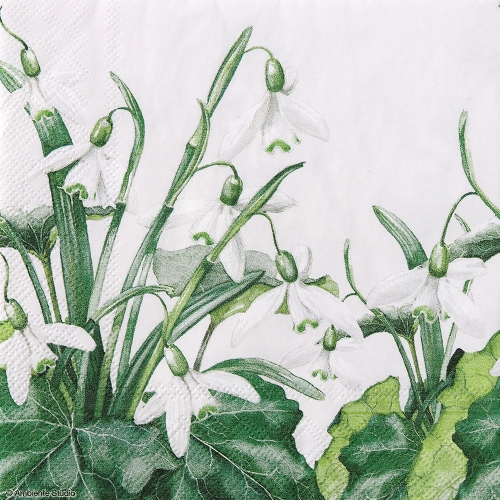 냅킨아트 13312695 Snowdrops White 냅킨20매 33x33cm