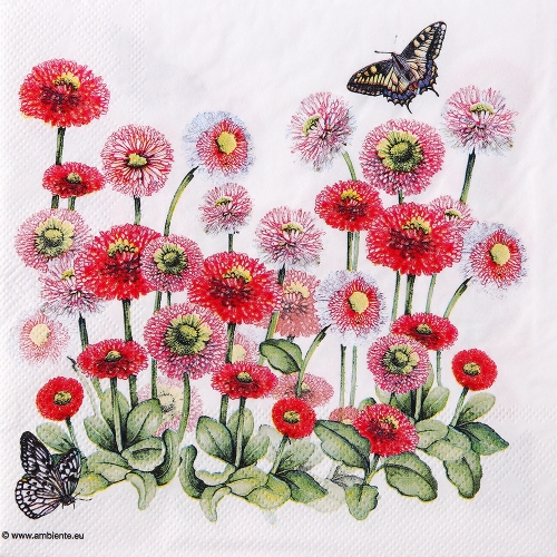 냅킨아트 13314950 Bellis 냅킨20매 33x33cm