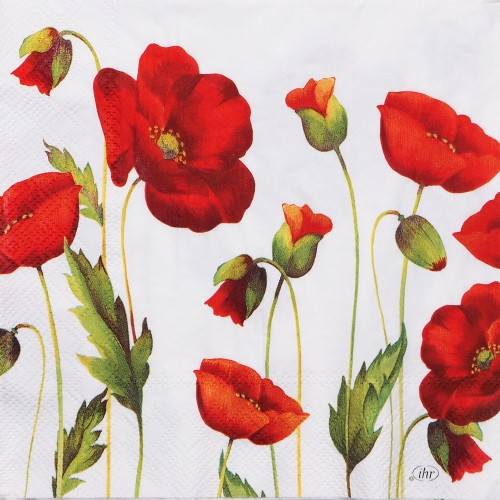 냅킨아트 L867590 Poppy white 냅킨20매 33x33cm