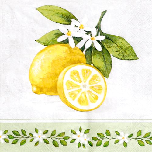 냅킨아트 13309695 Lemon Branch 냅킨20매 33x33cm 0625