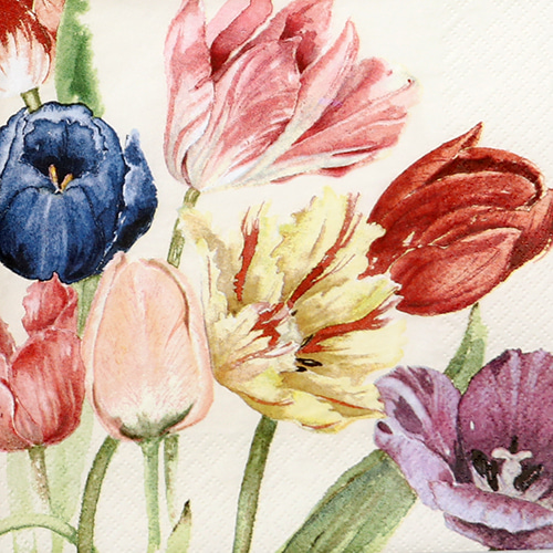 냅킨아트 211201 Amsterdam Tulips 냅킨20매 33x33cm 0425