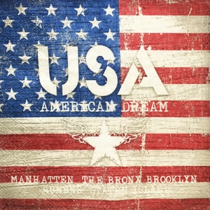 냅킨아트 13307850 AMERICAN DREAM 냅킨20매 33x33cm 0995