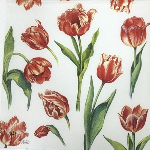 냅킨아트 L571190 RED TULIPS white 냅킨20매 33x33cm 0817