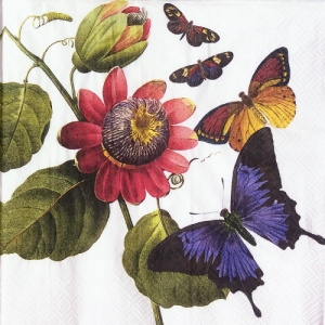 냅킨아트 L578400 BUTTERFIES 냅킨20매 33x33cm 0975