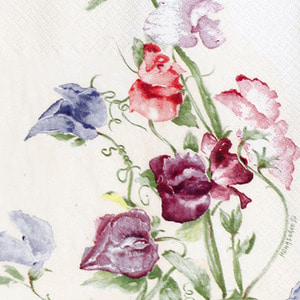 냅킨아트 211202 Sweetpea 냅킨20매 33x33cm 0433